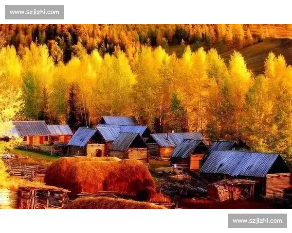 秋日阿勒泰，那束橙色的暖光